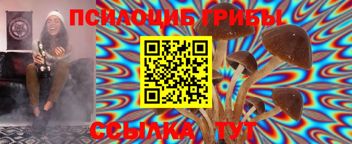 Псилоцибиновые грибы GOLDEN TEACHER Щёлково